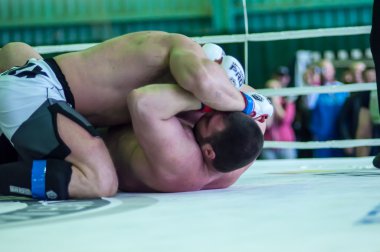 Volga federal bölgesi Şampiyonası karışık dövüş sanatları