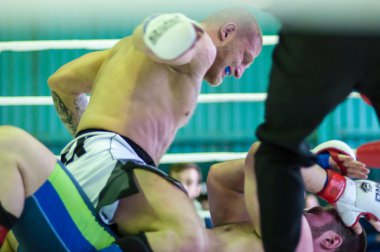 Volga federal bölgesi Şampiyonası karışık dövüş sanatları