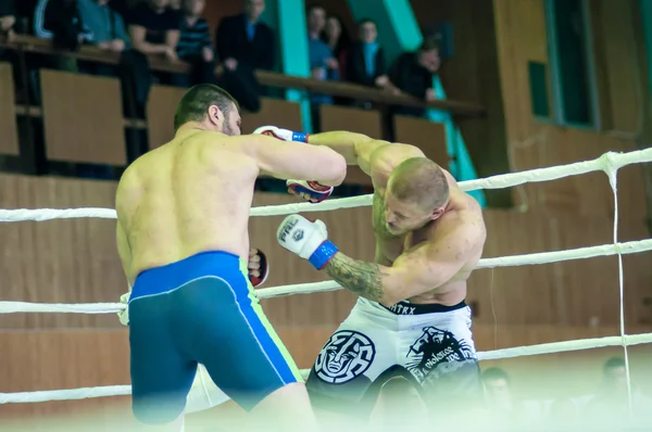 Campeonato del Distrito Federal Volga en artes marciales mixtas — Foto de Stock