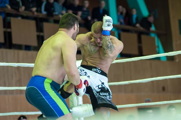 Campeonato del Distrito Federal Volga en artes marciales mixtas — Foto de Stock