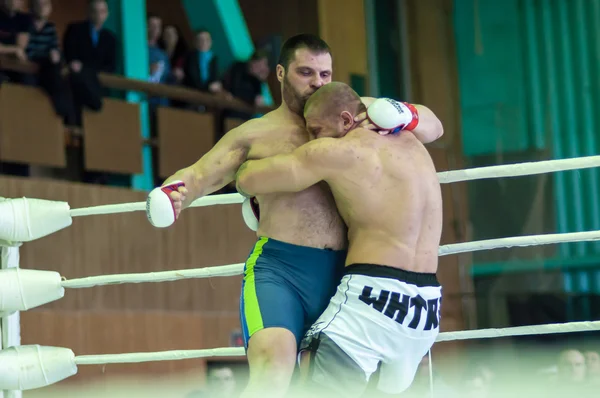 Volga Federal District Championship en arts martiaux mixtes — Photo