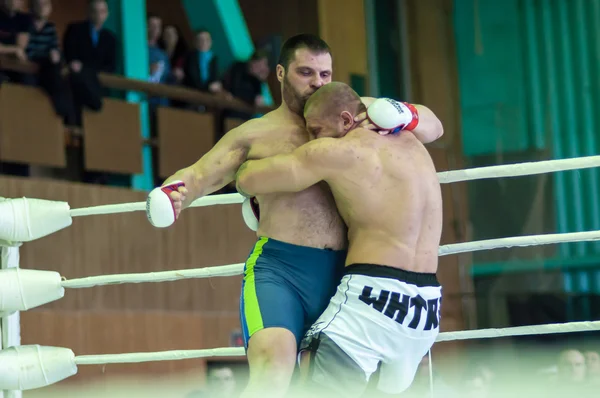 Приволзький федеральний округ чемпіонату в змішаних бойових мистецтвах — стокове фото