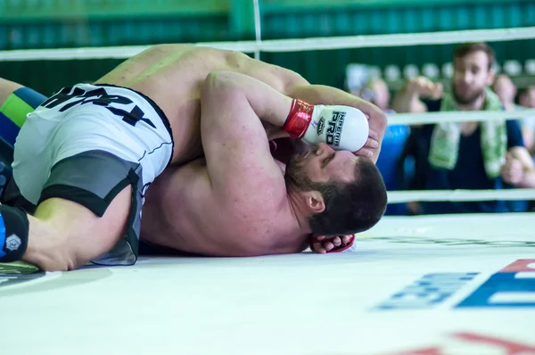 Campeonato do Distrito Federal de Volga em artes marciais mistas — Fotografia de Stock