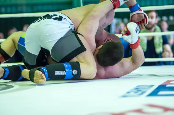 Volga federal bölgesi Şampiyonası karışık dövüş sanatları — Stok fotoğraf