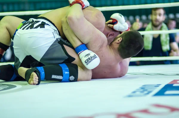 Campeonato do Distrito Federal de Volga em artes marciais mistas — Fotografia de Stock