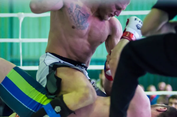 Campeonato do Distrito Federal de Volga em artes marciais mistas — Fotografia de Stock