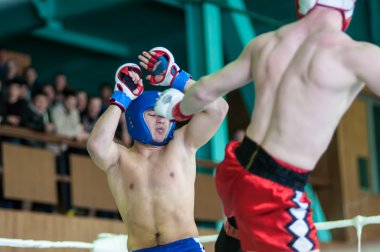 Volga federal bölgesi Şampiyonası karışık dövüş sanatları.