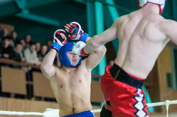 Volga Federal District Championship in mixed martial arts. — Stock Photo, Image
