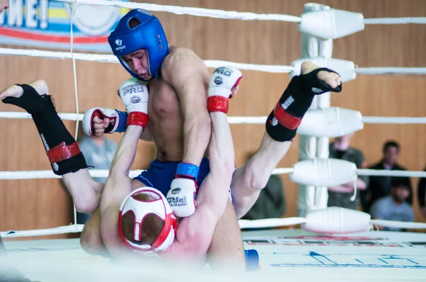 Volga Federal District Championship en arts martiaux mixtes . — Photo