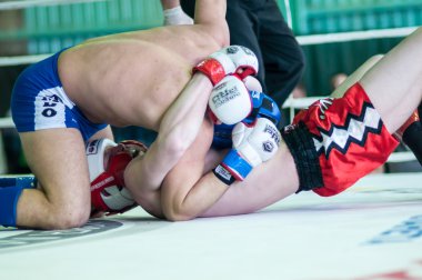 Volga Federal District Championship in mixed martial arts. clipart