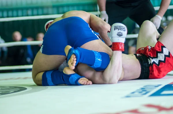 Volga federal bölgesi Şampiyonası karışık dövüş sanatları. — Stok fotoğraf