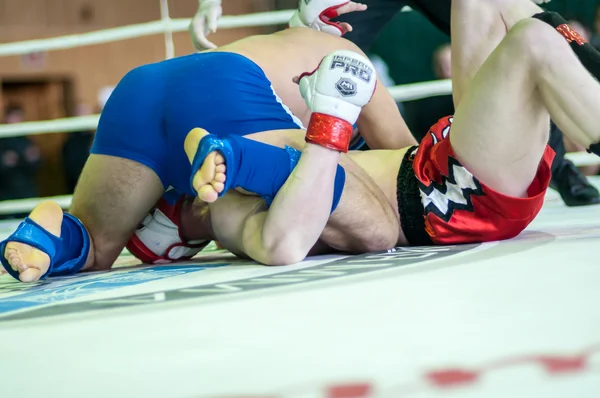 Campeonato del Distrito Federal Volga en artes marciales mixtas . — Foto de Stock