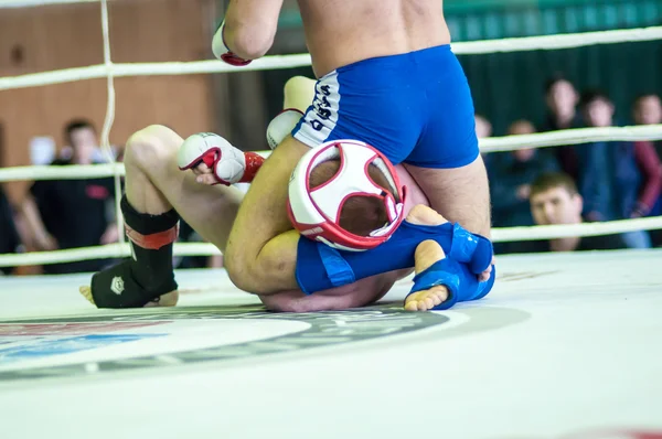 Πρωτάθλημα Ομοσπονδιακής περιοχής Βόλγα σε μικτές πολεμικές τέχνες. — Φωτογραφία Αρχείου