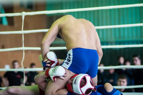 Wolga-Bezirksmeisterschaft im Mixed Martial Arts. — Stockfoto