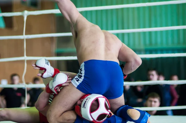 Volga federala distriktet championship i MMA. — Stockfoto