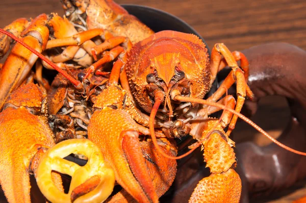 Gekookte rivierkreeft bier snack. — Stockfoto