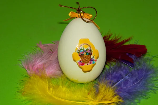 Easter egg and bird feathers. — Stock Photo, Image