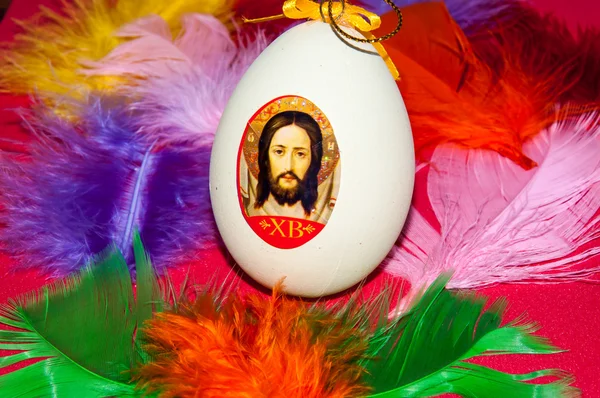 Easter egg and bird feathers. — Stock Photo, Image