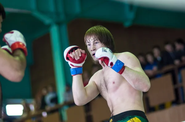 Campeonato do Distrito Federal de Volga em artes marciais mistas ... — Fotografia de Stock