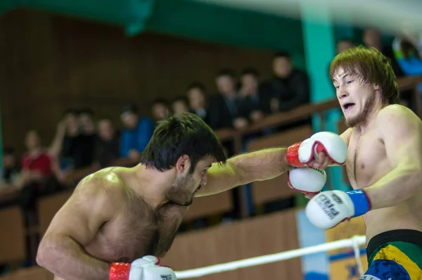 Volga Federal District Championship en arts martiaux mixtes ... — Photo