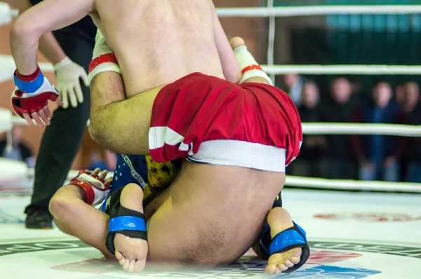 Campeonato del Distrito Federal Volga en artes marciales mixtas ... — Foto de Stock