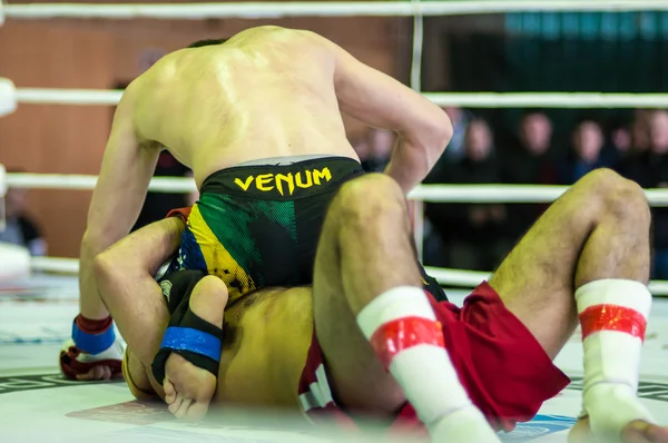 Volga federal bölgesi Şampiyonası karışık dövüş sanatları... — Stok fotoğraf