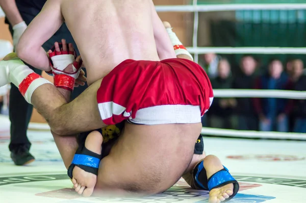 Campeonato del Distrito Federal Volga en artes marciales mixtas ... — Foto de Stock