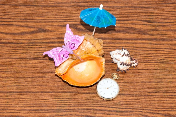 Seashell and watches — Stock Photo, Image