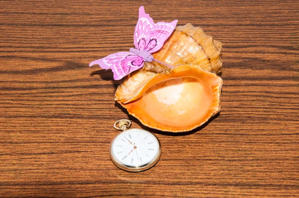 Seashell en horloges — Stockfoto