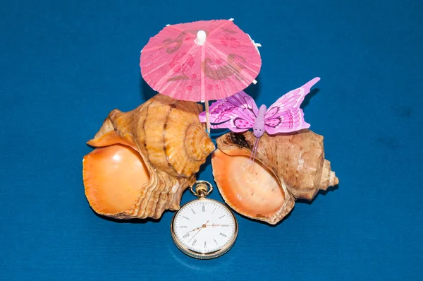 Seashell and watch — стоковое фото