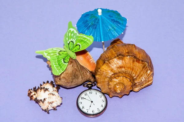 Seashell y relojes —  Fotos de Stock