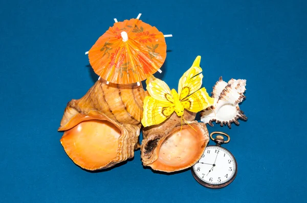 Seashell and watches — Stock Photo, Image