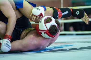 Volga federal bölgesi Şampiyonası karışık dövüş sanatları... ...