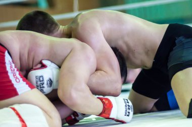 Volga federal bölgesi Şampiyonası karışık dövüş sanatları... ...