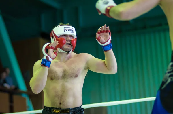 Volga Federal District Championship in mixed martial arts... ... — Stock Photo, Image