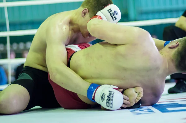 Campeonato do Distrito Federal de Volga em artes marciais mistas ... ... — Fotografia de Stock