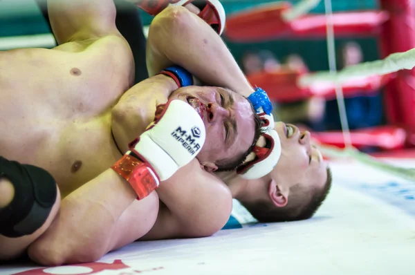 Wolga-Bezirksmeisterschaft im Mixed Martial Arts... ... — Stockfoto