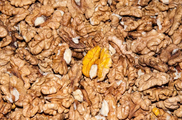 Walnut kernels — Stock Photo, Image