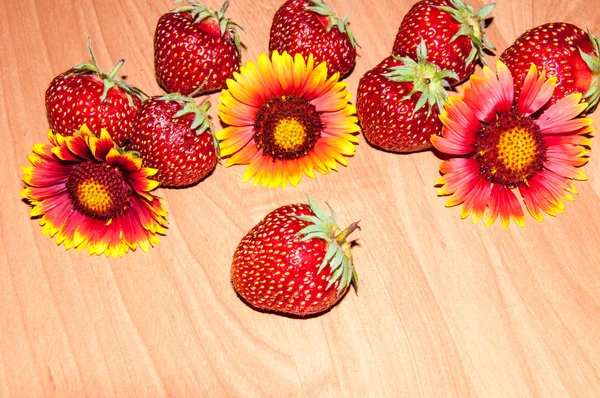 Strawberry and flower — Stock Photo, Image