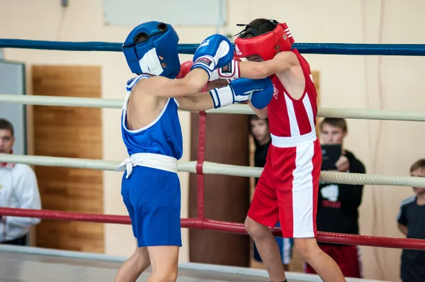 Concours de boxe chez les juniors , — Photo