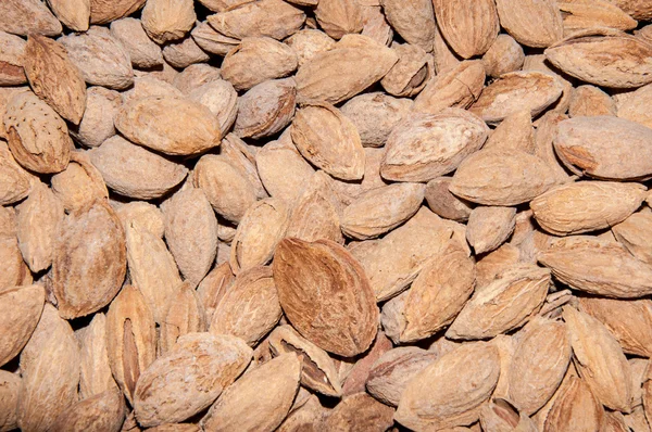 Fruit almonds or Prunus dulcis — Stock Photo, Image