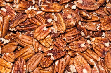 pekan somun veya carya illinoinensis 