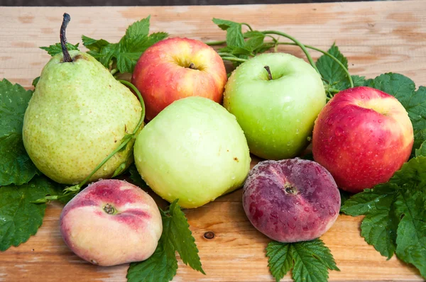 Frutos de árboles frutales — Foto de Stock