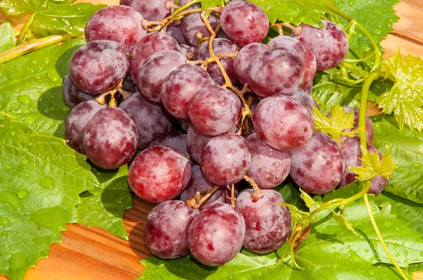 Bunch of grapes — Stock Photo, Image