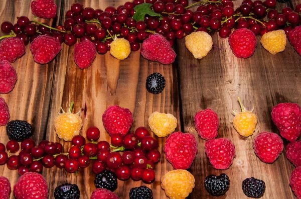 Sortierte Beeren — Stockfoto