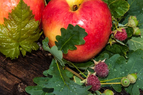 Apple Red color — Stock Photo, Image