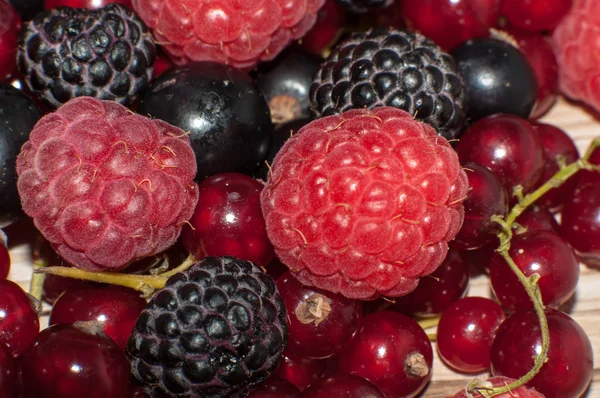 Sortierte Beeren — Stockfoto