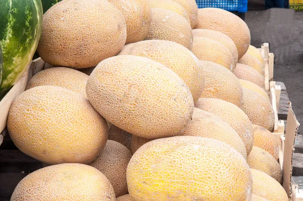 Melone venduto al Bazar — Foto Stock