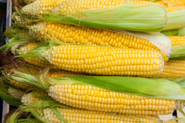 Corn is on sale at the Bazaar — Stock Photo, Image