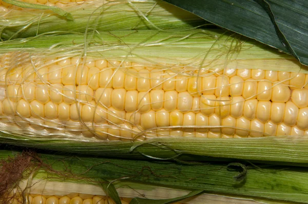 Corn is on sale at the Bazaar — Stock Photo, Image
